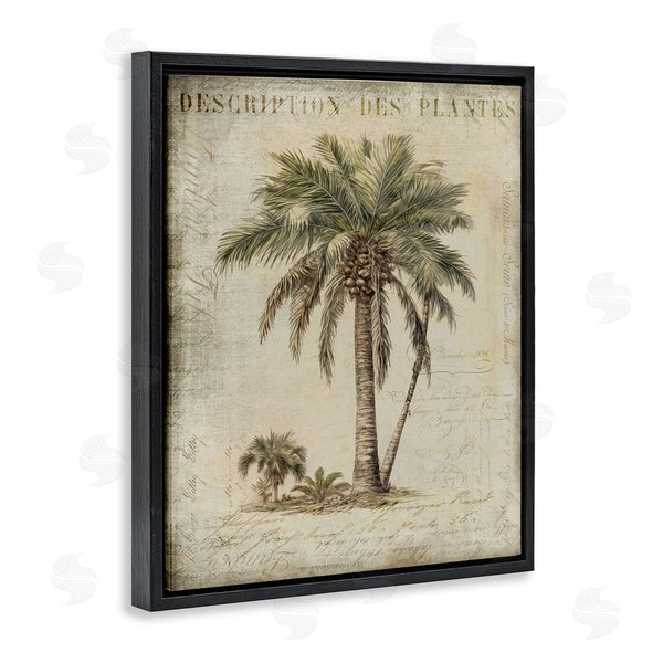Stupell Industries Andrea Haase | Vintage Palm Tree Study Wall Art
