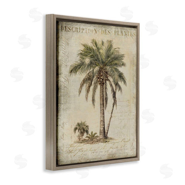 Stupell Industries Andrea Haase | Vintage Palm Tree Study Wall Art