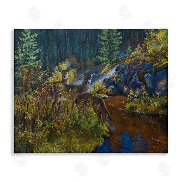 stupell industries Andrew Kiss | Deer Drinking from River Wall Art