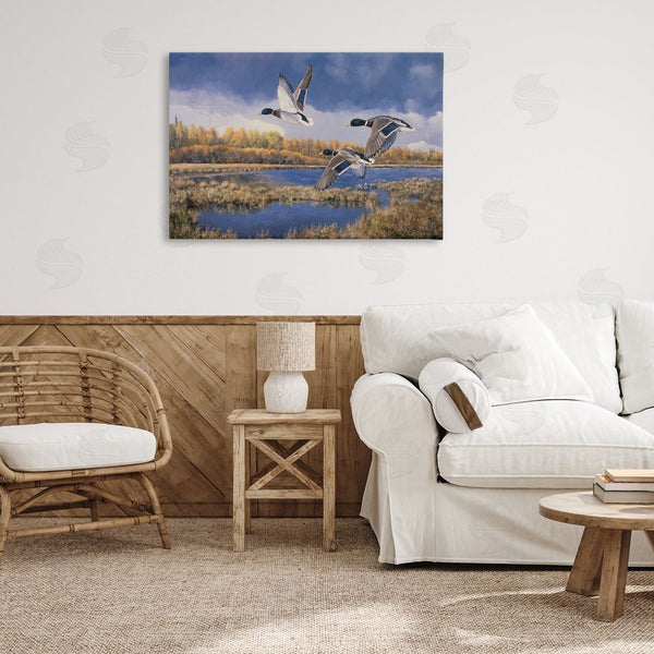 Stupell Industries Andrew Kiss | Ducks Heading South Wall Art