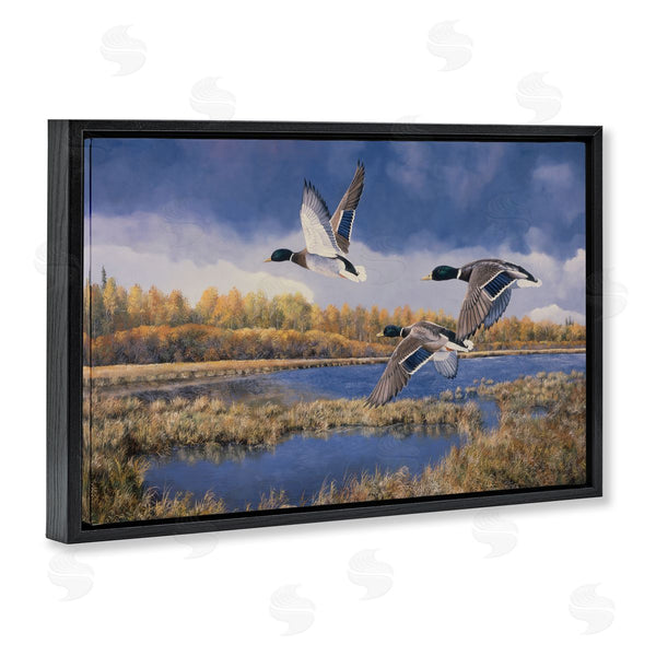 Stupell Industries Andrew Kiss | Ducks Heading South Wall Art