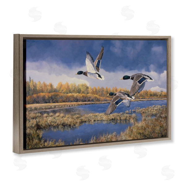 Stupell Industries Andrew Kiss | Ducks Heading South Wall Art