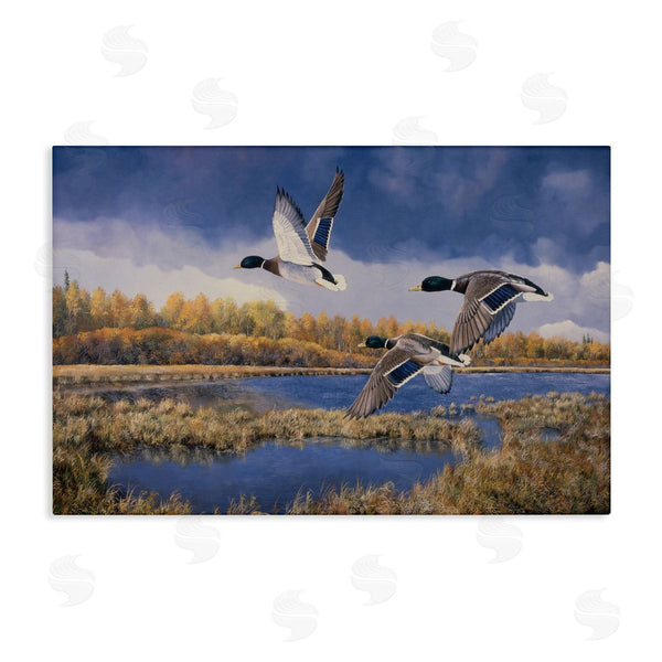 stupell industries Andrew Kiss | Ducks Heading South Wall Art