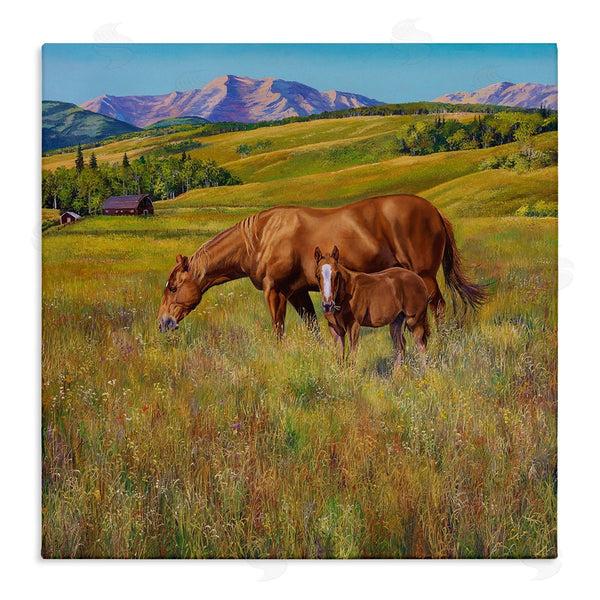 stupell industries Andrew Kiss | Horses Grazing in Meadow Wall Art