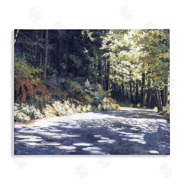 stupell industries Andrew Kiss | Sunlit Woodland Road Wall Art