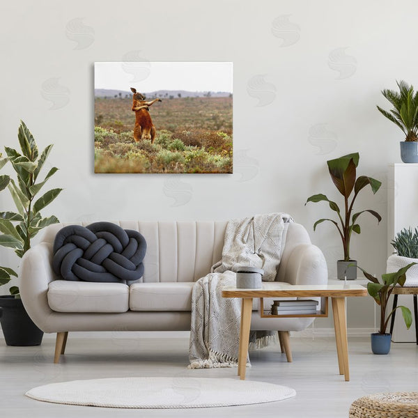 Stupell Industries Andrey Glijov | Kangaroo Savanna Landscape Wall Art