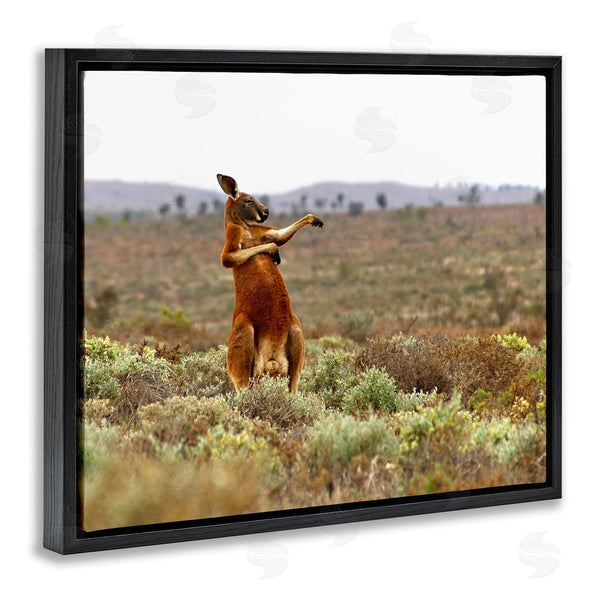 Stupell Industries Andrey Glijov | Kangaroo Savanna Landscape Wall Art
