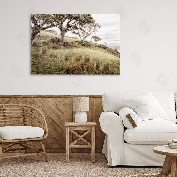 Stupell Industries Andy Amos | Irish Hillside Landscape Wall Art