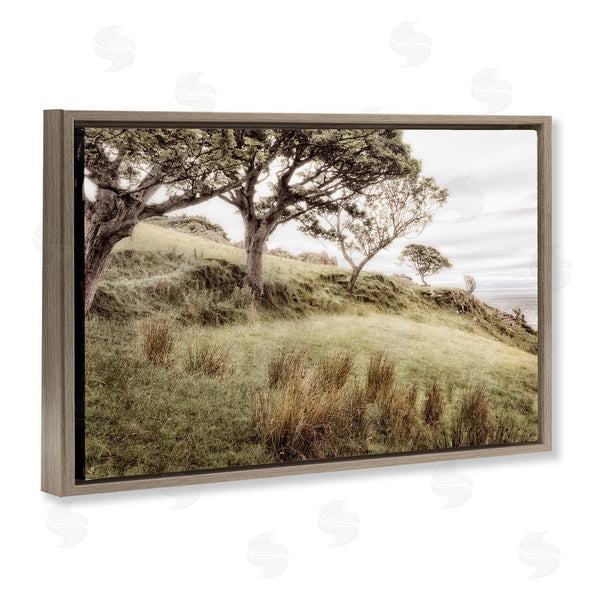 Stupell Industries Andy Amos | Irish Hillside Landscape Wall Art