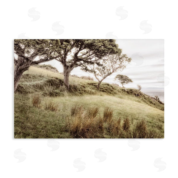 stupell industries Andy Amos | Irish Hillside Landscape Wall Art