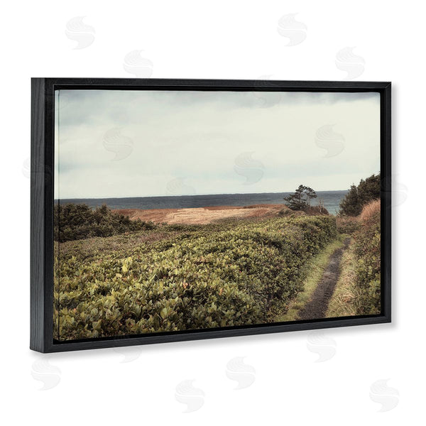 Stupell Industries Andy Amos | Serene Coastal Pathway