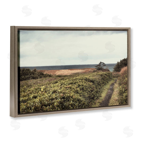 Stupell Industries Andy Amos | Serene Coastal Pathway