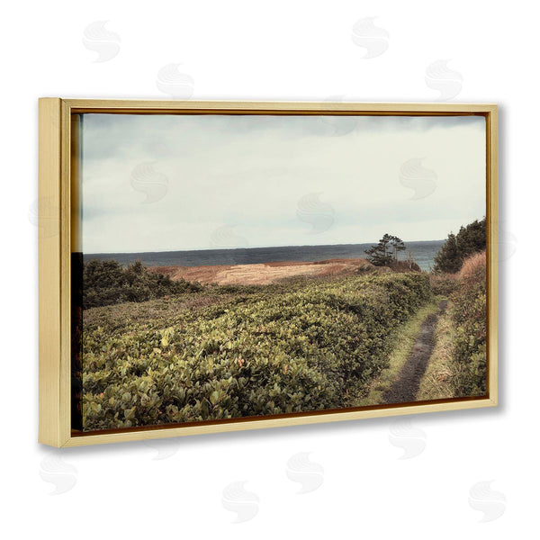 Stupell Industries Andy Amos | Serene Coastal Pathway