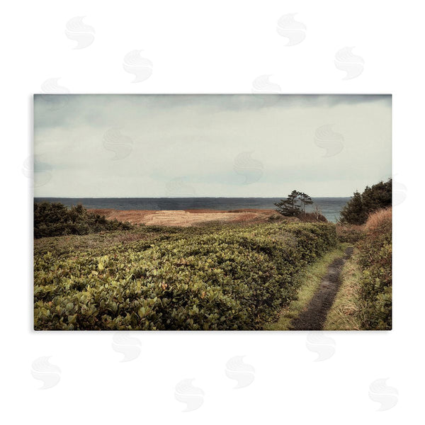 stupell industries Andy Amos | Serene Coastal Pathway