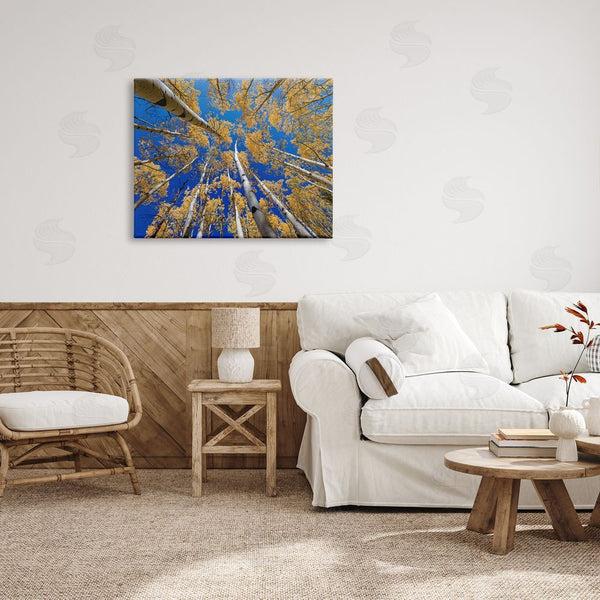 Stupell Industries Andy Crawford Photography | Looming Woodland Foliage Trees Wall Art