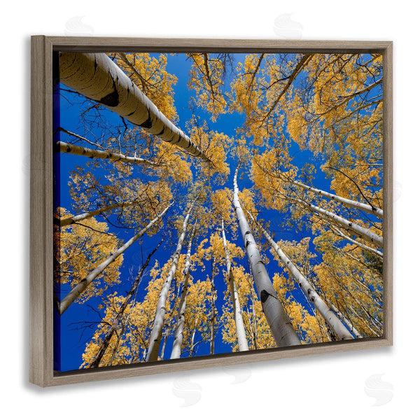 Stupell Industries Andy Crawford Photography | Looming Woodland Foliage Trees Wall Art