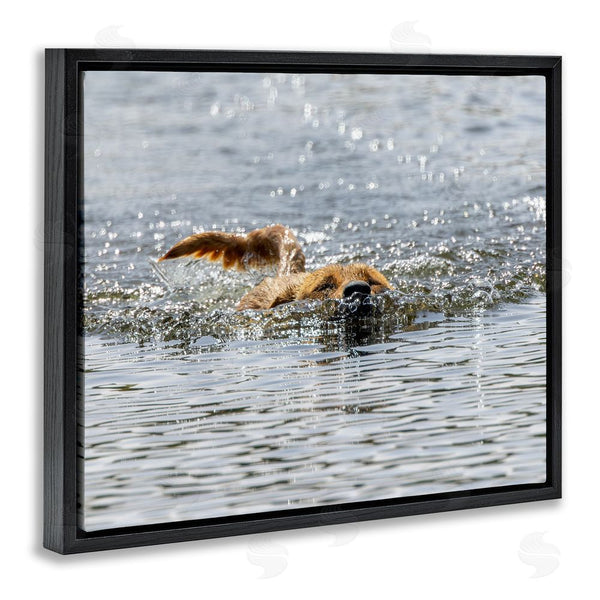 Stupell Industries Angela Farnsworth | Dog Swimming In Ocean Wall Art