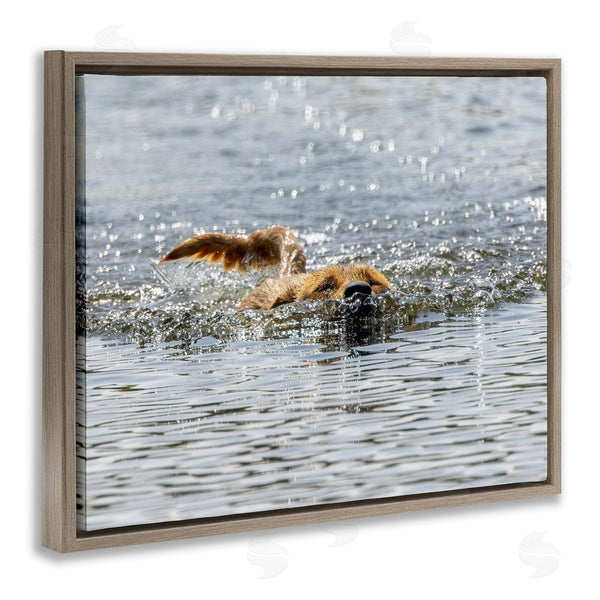 Stupell Industries Angela Farnsworth | Dog Swimming In Ocean Wall Art