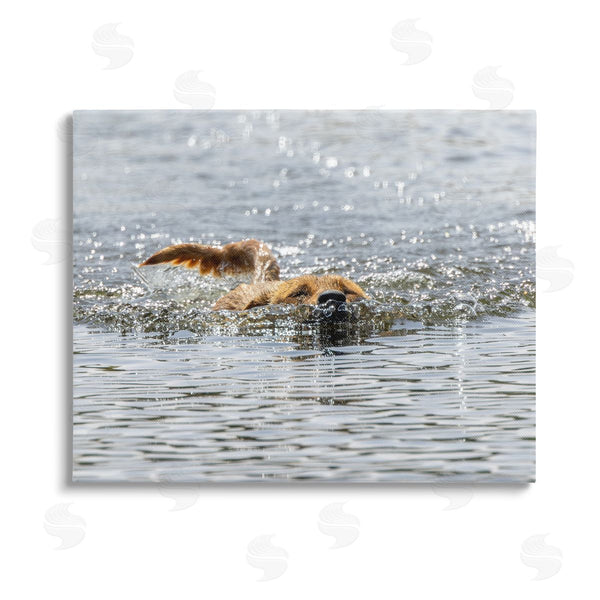 stupell industries Angela Farnsworth | Dog Swimming in Ocean Wall Art