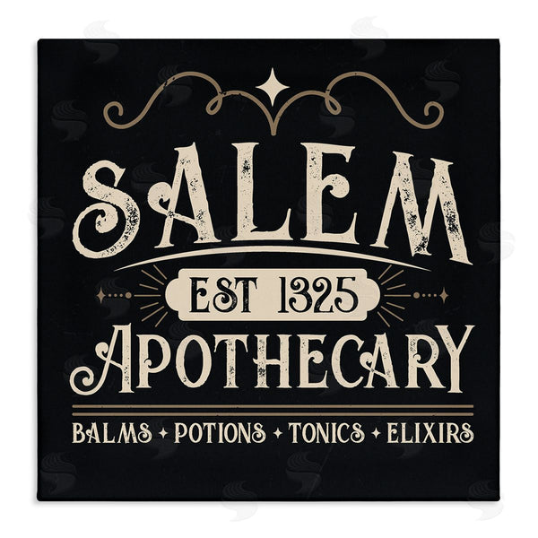 stupell industries Angela Nickeas | Salem Apothecary Vintage Witch Sign Wall Art