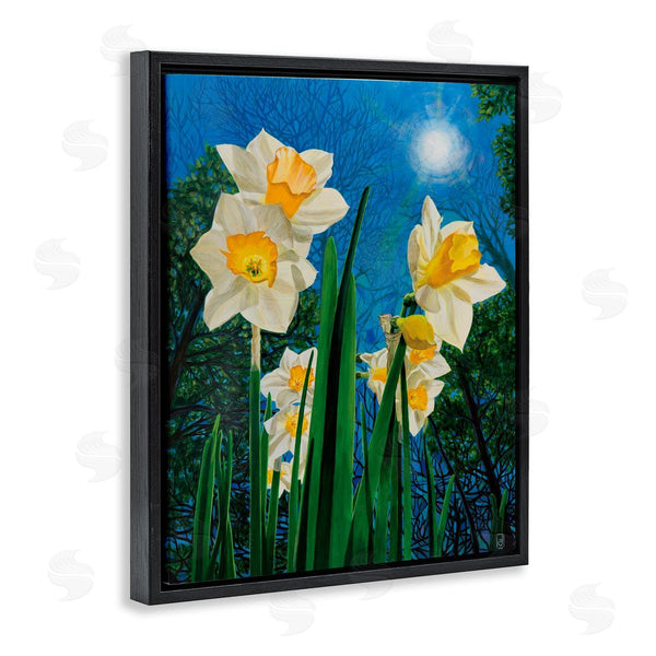 Stupell Industries Ann Jasperson | Daffodils Under The Sun