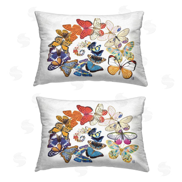 Stupell Industries Ann Jasperson | Swirling Spirals Butterflies