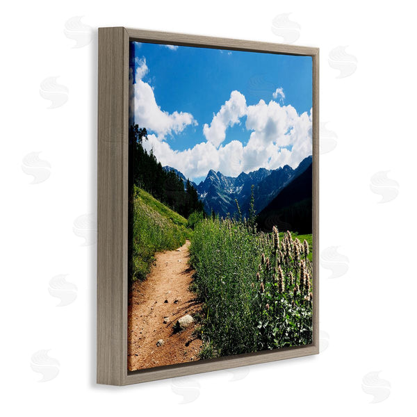 Stupell Industries Anna Coppel | Lovely Path With Clouds Wall Art