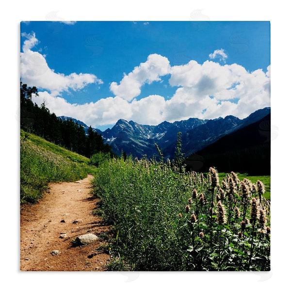 stupell industries Anna Coppel | Lovely Path with Clouds Wall Art