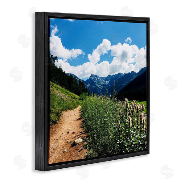 Stupell Industries Anna Coppel | Mountain Field Nature Path Wall Art