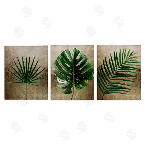 stupell industries Anna Lischenko | Rustic Earthy Tropical Leaves