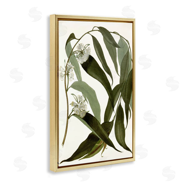 Stupell Industries Annabelle Hall | Curving Wild Herb Flower