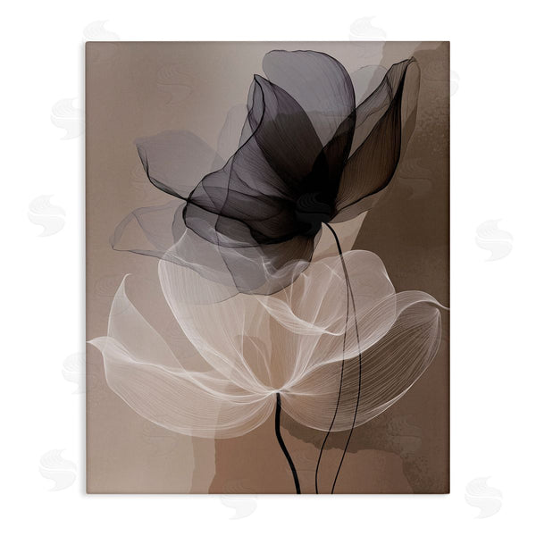 stupell industries Annabelle Hall | Gauzy Flowers on Brown