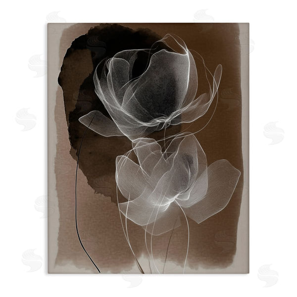 stupell industries Annabelle Hall | Gossamer Roses on Brown
