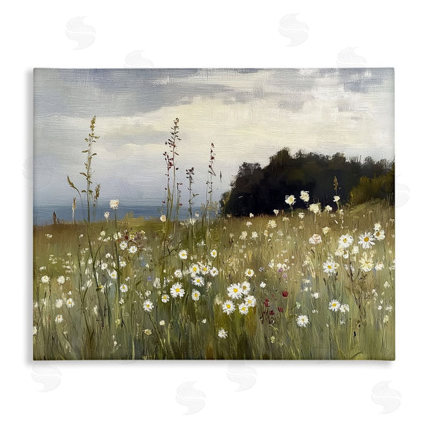 stupell industries Annabelle Hall | Seaside Daisy Meadow