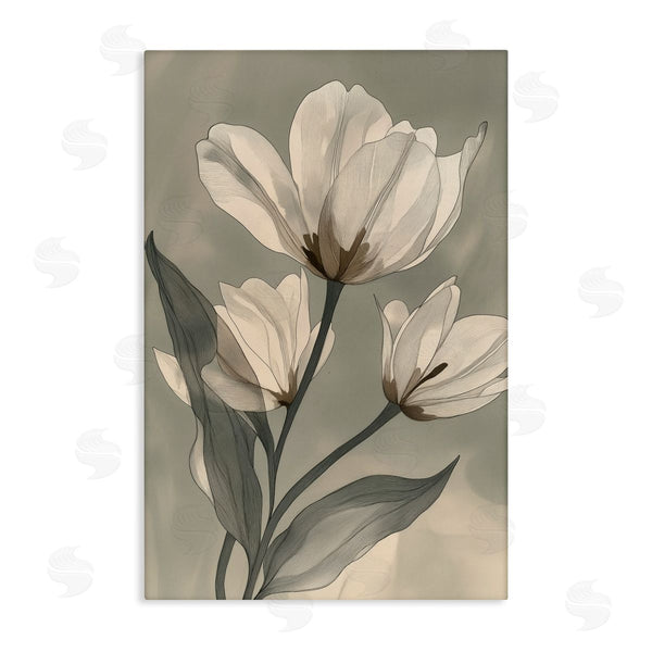 stupell industries Annabelle Hall | Times Three Budding Magnolias