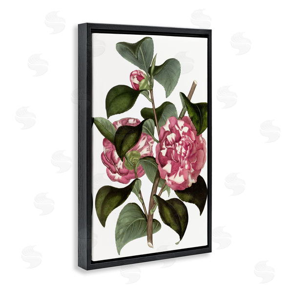 Stupell Industries Annabelle Hall | Wild Carnation Flowers