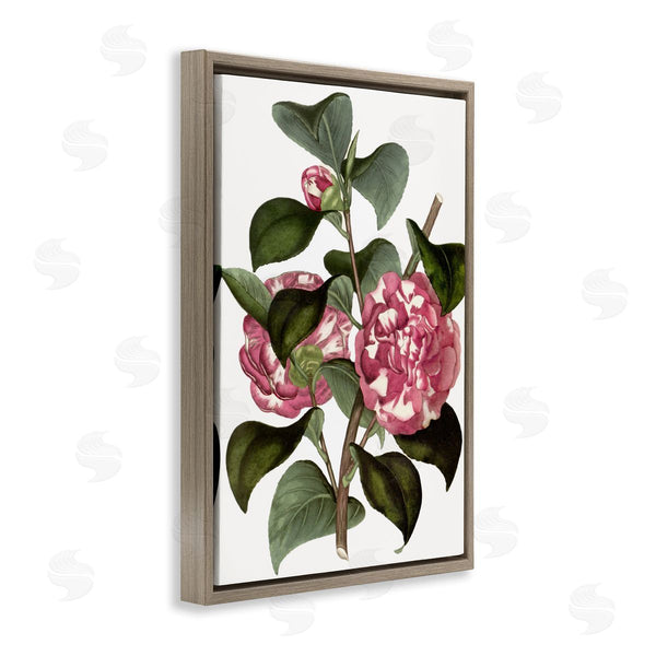 Stupell Industries Annabelle Hall | Wild Carnation Flowers