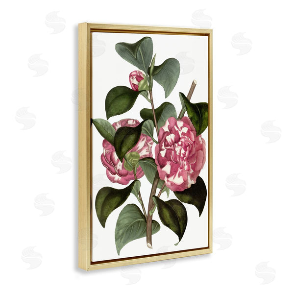 Stupell Industries Annabelle Hall | Wild Carnation Flowers