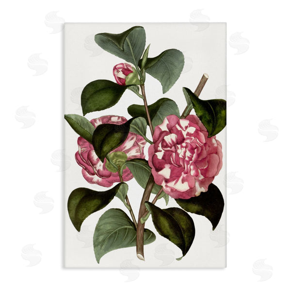 stupell industries Annabelle Hall | Wild Carnation Flowers