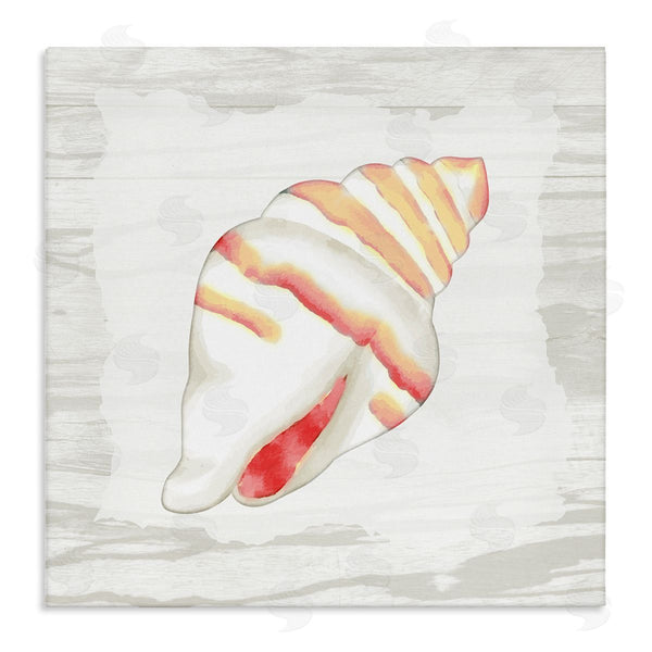 stupell industries Anne Bailey | Conch Shell Patterned Wall Art