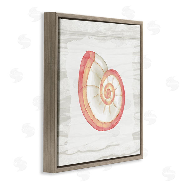 Stupell Industries Anne Bailey | Patterned Nautilus Shell Wall Art