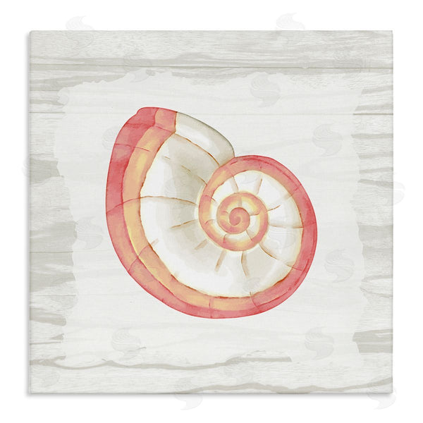 stupell industries Anne Bailey | Patterned Nautilus Shell Wall Art