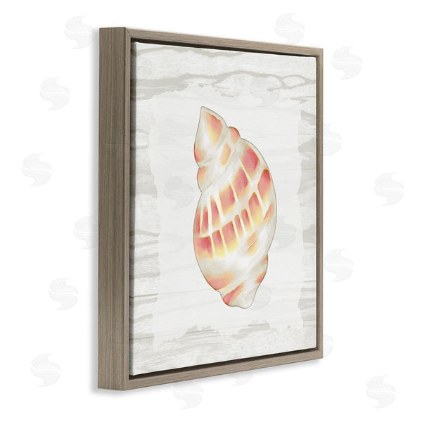 Stupell Industries Anne Bailey | Pink Rustic Seashell Wall Art