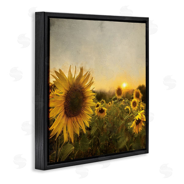 Stupell Industries Anne Bailey | Warm Sunflower Field Summer Sunset Landscape Wall Art