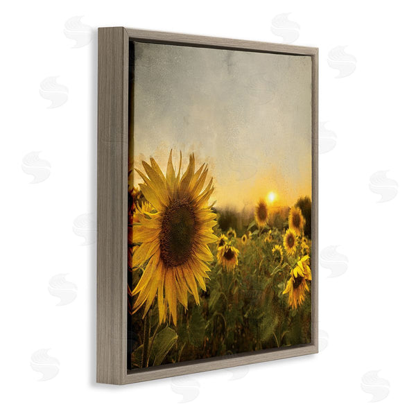 Stupell Industries Anne Bailey | Warm Sunflower Field Summer Sunset Landscape Wall Art