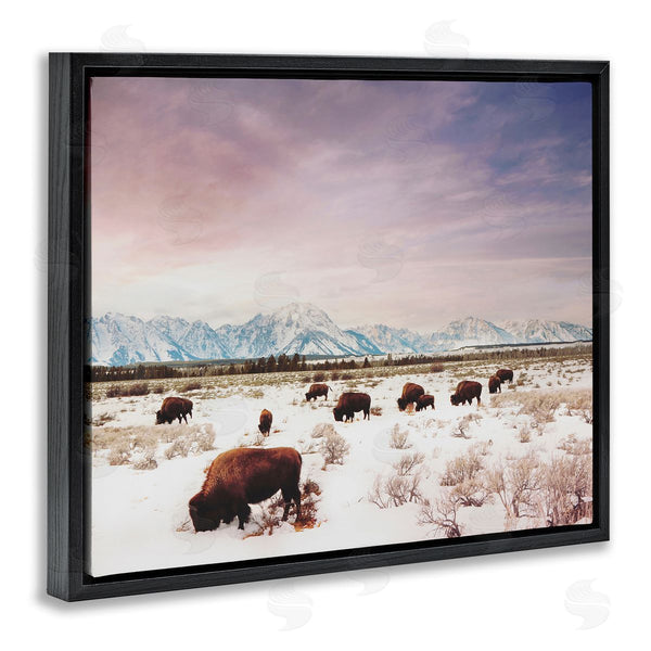Stupell Industries Annie Bailey Art | Bison Desert Mountains Scene Wall Art