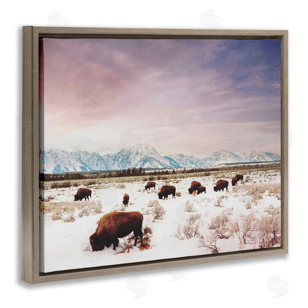 Stupell Industries Annie Bailey Art | Bison Desert Mountains Scene Wall Art