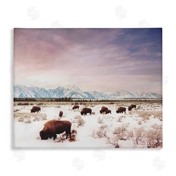 stupell industries Annie Bailey Art | Bison Desert Mountains Scene Wall Art