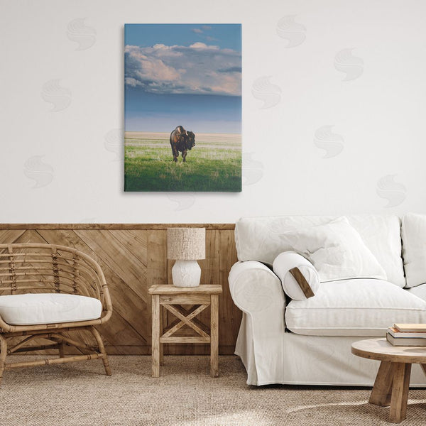 Stupell Industries Annie Bailey Art | Sunlight Over Lone Bison Wall Art