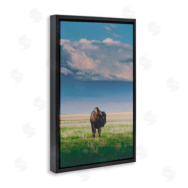Stupell Industries Annie Bailey Art | Sunlight Over Lone Bison Wall Art